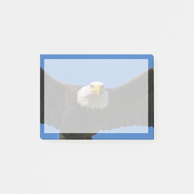 Weißkopfseeadler Flug nah Post-it Klebezettel (Vorderseite)