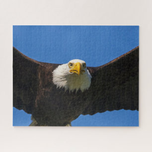 Weißkopfseeadler Flug nah Puzzle