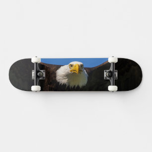 Weißkopfseeadler Flug nah Skateboard