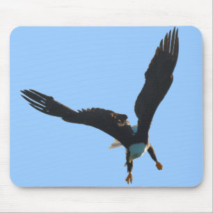 Weißkopfseeadler-Flug-Sammlung Mousepad