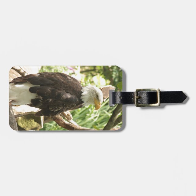 Weißkopfseeadler Gepäckanhänger (Vorderseite horizontal)