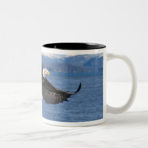 Weißkopfseeadler, Haliaeetus leuccocephalus, im Fl Zweifarbige Tasse