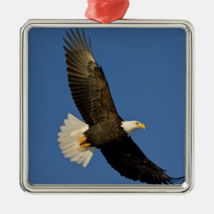 Weißkopfseeadler, Haliaeetus leucocephalus, Homer, Silbernes Ornament