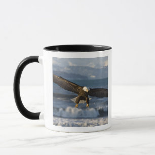 Weißkopfseeadler, Haliaeetus leucocephalus, Homer, Tasse