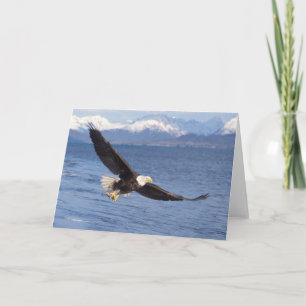 Weißkopfseeadler, Haliaeetus leucocephalus, im Flu Karte