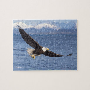 Weißkopfseeadler, Haliaeetus leucocephalus, im Flu Puzzle