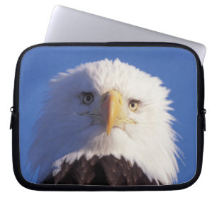 Weißkopfseeadler, Haliaeetus leucocephalus, Kopfau Laptopschutzhülle