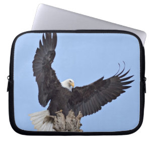 Weißkopfseeadler (Haliaeetus leucocephalus) mit Fl Laptopschutzhülle