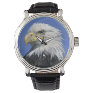 Weißkopfseeadler, (Haliaeetus leucocephalus), wild Armbanduhr