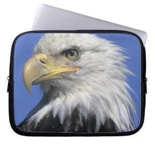Weißkopfseeadler, (Haliaeetus leucocephalus), wild Laptopschutzhülle