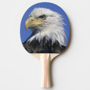 Weißkopfseeadler, (Haliaeetus leucocephalus), wild Tischtennis Schläger
