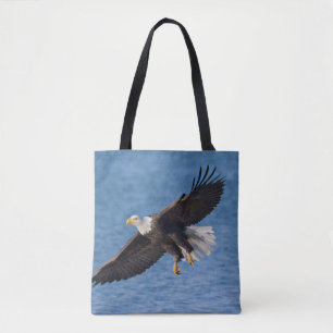 Weißkopfseeadler im Flug