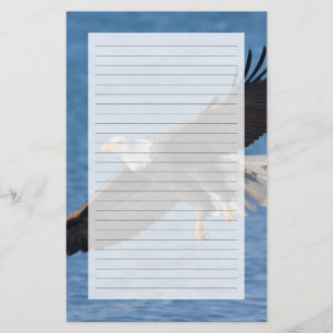 Weißkopfseeadler im Flug Briefpapier