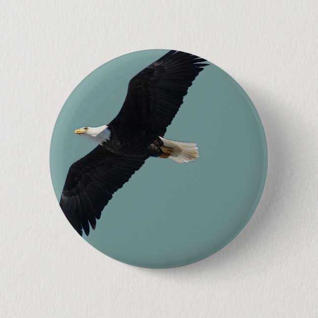 Weißkopfseeadler im Flug Button (Vorderseite)