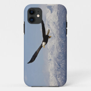 Weißkopfseeadler im Flug, Haliaeetus leucocephalus iPhone 11 Hülle
