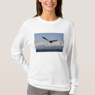 Weißkopfseeadler im Flug, Haliaeetus leucocephalus T-Shirt
