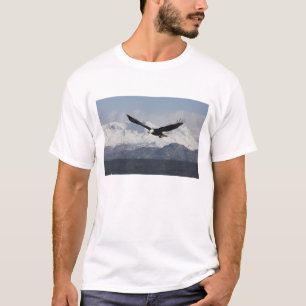 Weißkopfseeadler im Flug, Haliaeetus leucocephalus T-Shirt