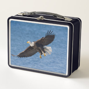 Weißkopfseeadler im Flug Metall Brotdose
