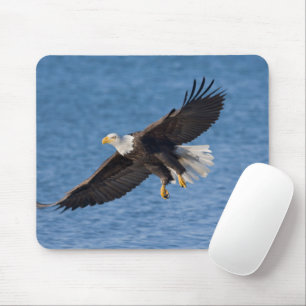 Weißkopfseeadler im Flug Mousepad