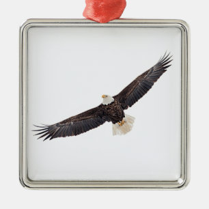 Weißkopfseeadler im Flug Ornament Aus Metall
