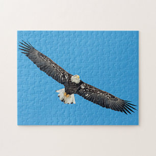 Weißkopfseeadler im Flug Puzzle