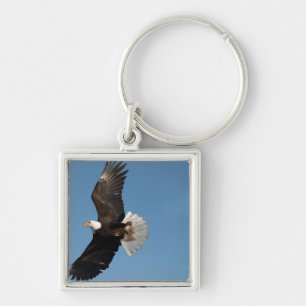 Weißkopfseeadler im Flug Schlüsselanhänger
