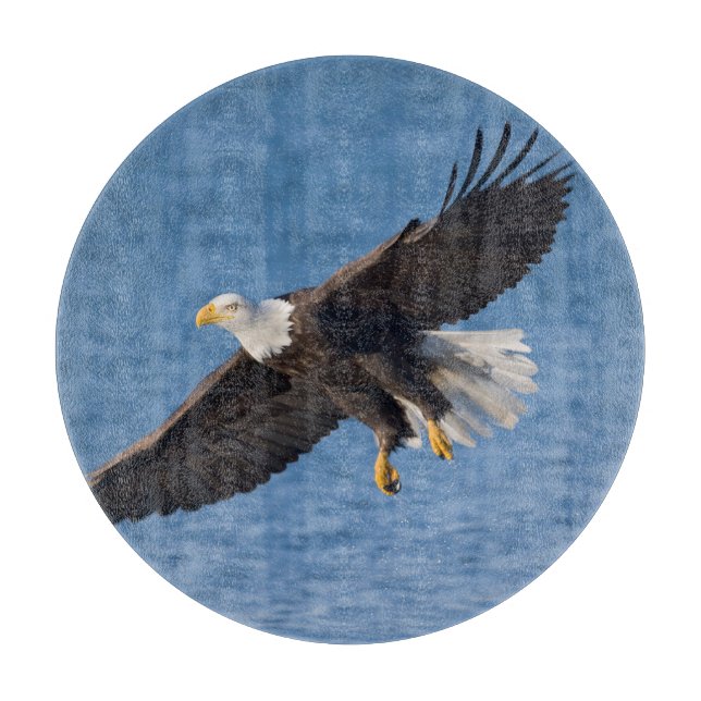 Weißkopfseeadler im Flug Schneidebrett (Vorderseite)