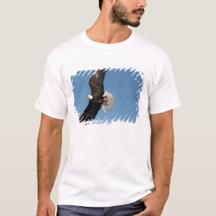 Weißkopfseeadler im Flug T-Shirt