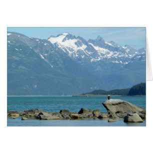Weißkopfseeadler in Skagway Alaska