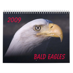 Weißkopfseeadler Kalender