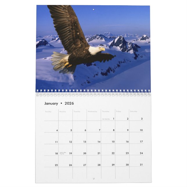 Weißkopfseeadler Kalender (Jan 2026)
