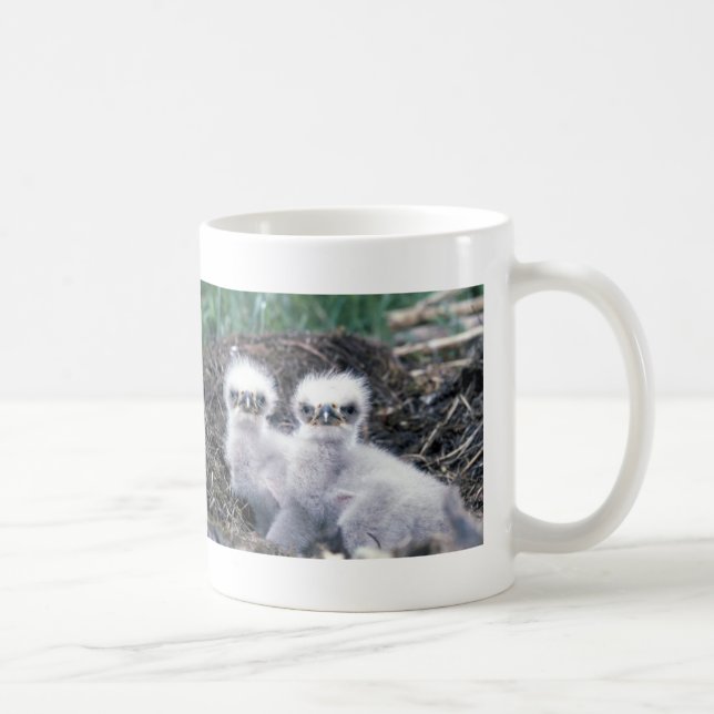Weißkopfseeadler-Küken Kaffeetasse (Rechts)