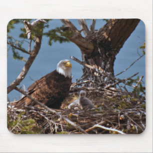 Weißkopfseeadler-Küken - Mousepad