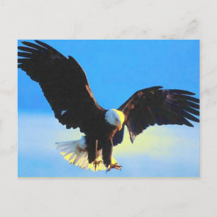 Weißkopfseeadler-Landungs-Postkarte Postkarte