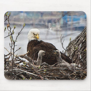 Weißkopfseeadler mit eaglets mousepad