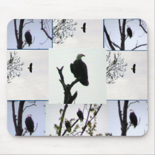 Weißkopfseeadler-Montage Mousepad