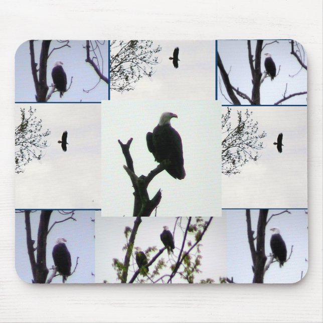 Weißkopfseeadler-Montage Mousepad (Vorne)