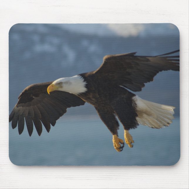 Weißkopfseeadler Mousepad (Vorne)