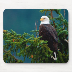 Weißkopfseeadler Mousepad