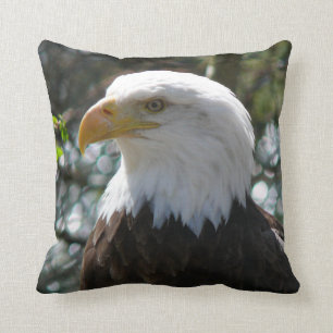 Weißkopfseeadler - nationaler Vogel der Kissen
