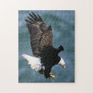 Weißkopfseeadler - nationaler Vogel der Puzzle