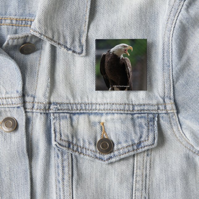 Weißkopfseeadler Nennen Button (Beispiel)