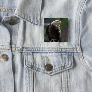 Weißkopfseeadler Nennen Button