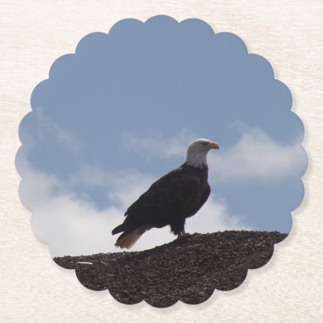 Weißkopfseeadler-Papierset Untersetzer (Vorderseite)