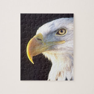 Weißkopfseeadler-Porträt, Haliaeetus leucocephalus Puzzle