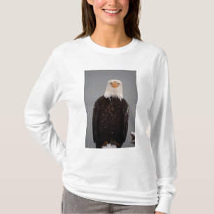 Weißkopfseeadler-Porträt im Schnee, Haliaeetus T-Shirt