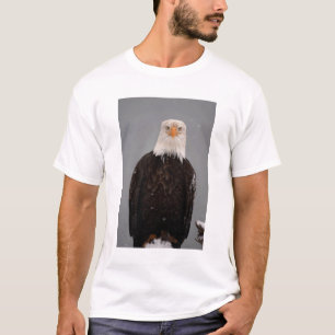Weißkopfseeadler-Porträt im Schnee, Haliaeetus T-Shirt