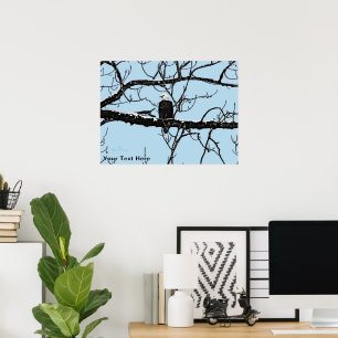 Weißkopfseeadler Poster