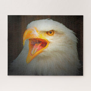 Weißkopfseeadler Puzzle