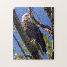 Weißkopfseeadler-Puzzlespiel Puzzle